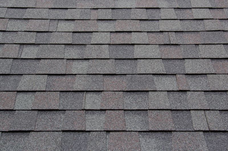 Roof Shingles Replacement detail
